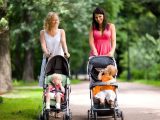 Как выбрать детскую коляску: Руководство для молодых родителей