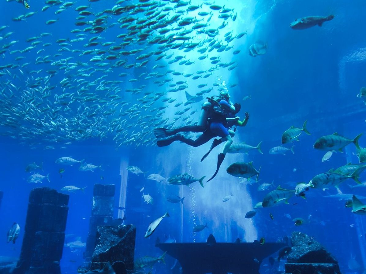 Морской аквариум: увлекательное погружение в подводный мир