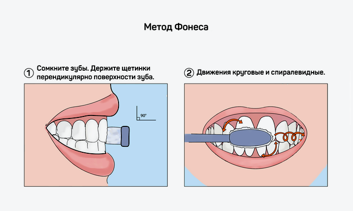 Как правильно чистить зубы? 